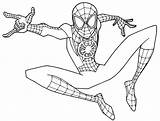 Spider Verse Coloring Man Pages Into Young Printable sketch template