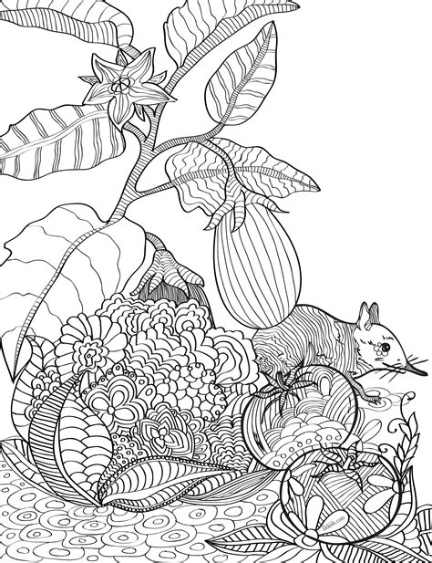 pin   adult coloring pages