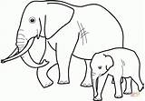 Coloring Baby Elephant Pages Mother sketch template