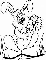 Rabbit Coloring Pages Rabbits Bunny Printable Bunnies Color Cartoon Print sketch template