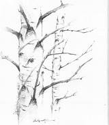 Tree Simple Drawing Sketch Nature Drawings Birches Joshuanava Biz Easy Realistic Pencil Draw Sketches Forest Bark Wooded Dark Heavily Area sketch template