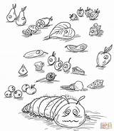 Hungry Coloring Caterpillar Very Pages Fruits Foods Printables Eric Carle Printable Book Junie Jones Color Viola Swamp Beautiful Drawing Clipart sketch template