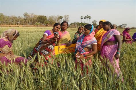 invisible farm women  agri preneurs rice today