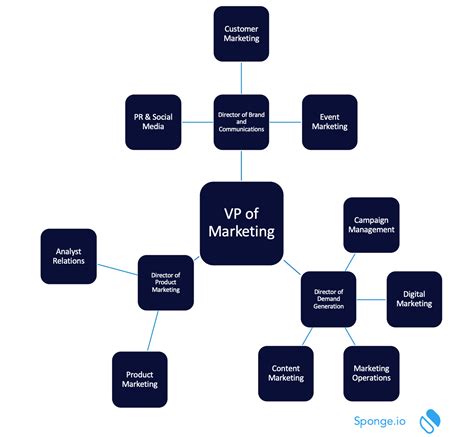 sample marketing org chart sponge marketing  operations analysts