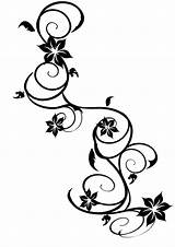 Vine Drawing Rose Vines Flowers Drawings Simple Clipartmag sketch template