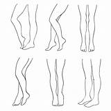 Outline Legs Female Vector Leg Drawing Attractive Set Illustration Human Woman Line Premium Sketch Foot Beautiful Stock Sexy Vectors Royalty sketch template