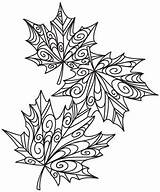 Embroidery Coloring Leaves Autumn Designs Delicate Crayon Fall Patterns Leaf Pattern Hand Drawing Simple Zentangle Color Outline Paper Print Wood sketch template