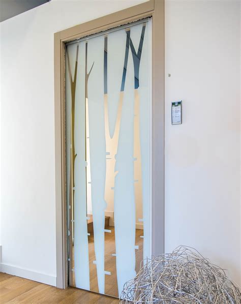 Frameless Glass Door Premium Sliding Doors Cavity