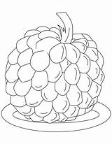 Custard Planse Fructe Colorat Clip Padure Fruits Zmeura Desenat Bestcoloringpages sketch template