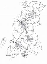 Hawaiian Pages Flower Coloring Printable Getcolorings Beautiful sketch template