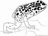 Dart Poison Grenouille Relier Points Connectthedots101 sketch template