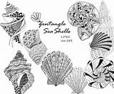 Zentangle Nautical Seashells Shells sketch template