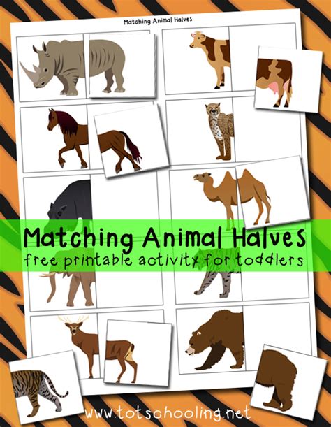fun learning  kids matching animal halves printable activity love
