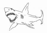 Jaws Gesture Tocolor sketch template