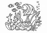 Coloring Sea Pages Coral Getcolorings Fish Printable sketch template