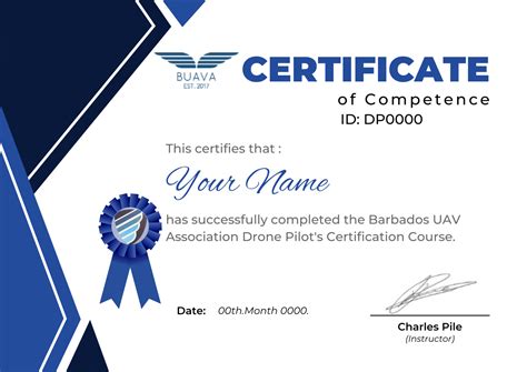 drone training instruction     cpnetconsultancybiz  official website