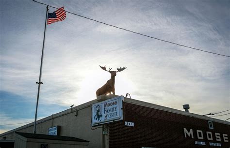 cheers   years moose lodge celebrates milestone