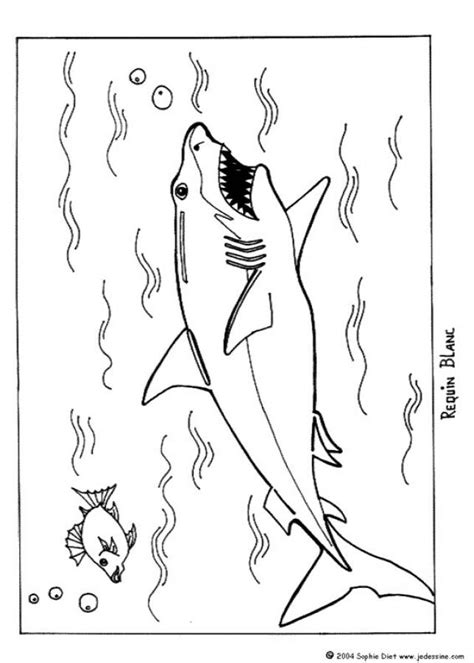 great white shark coloring pages hellokidscom