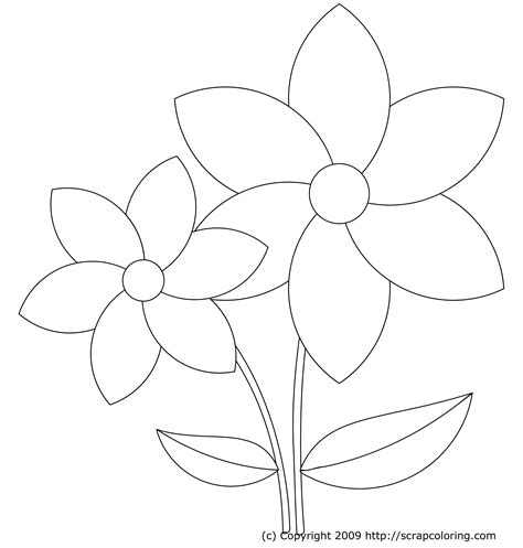 flower petals coloring pages coloring home