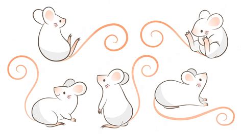 satz hand gezeichnete ratten maus  den verschiedenen haltungen vektorillustration karikatur