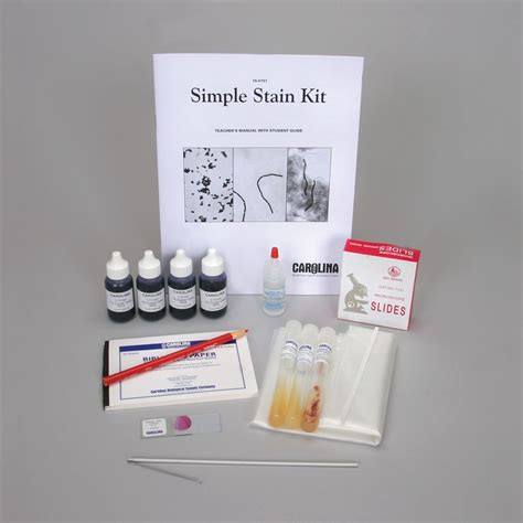 simple stain kit carolina biological supply