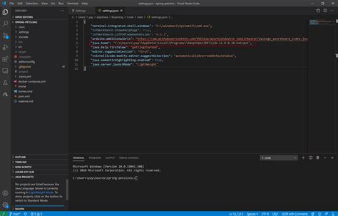 java  visual studio code  java blog  chinese