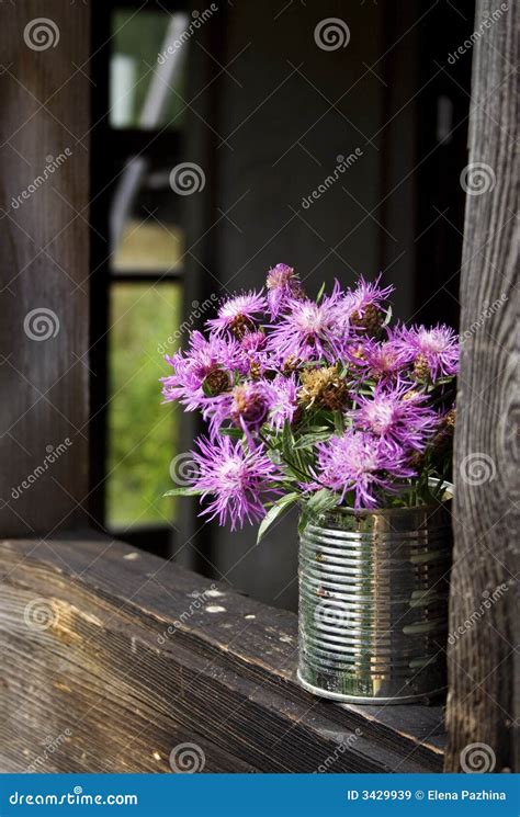 tin   flowers stock image image  flowers life
