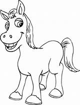 Cavallo Cavalli Pony Stampa Stampare Salvato Disegnidacolorareonline sketch template