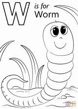 Worm Coloring Tracing Earthworm Gusano Supercoloring Worms Lionni Leo Quiz Insects sketch template