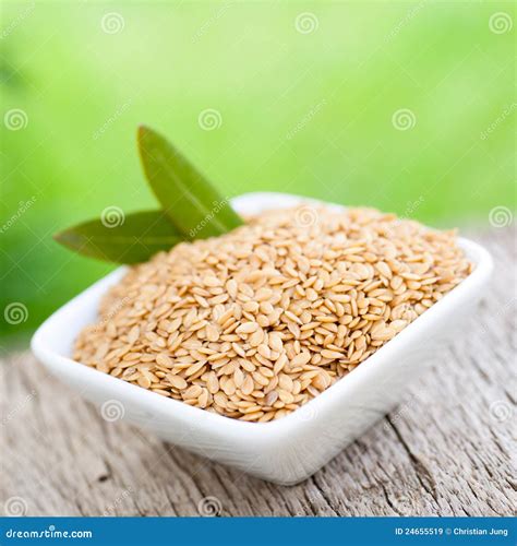 linseed stock image image  linseed organic digestion