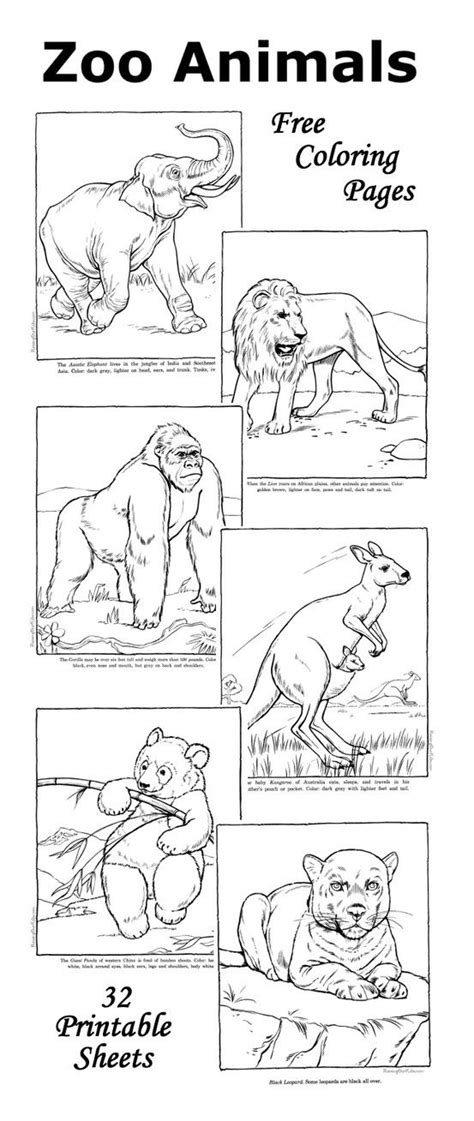 zoo coloring pages fun facts   zoo animal picture zoo animal