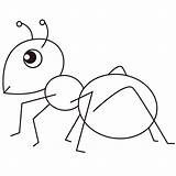 Ant sketch template