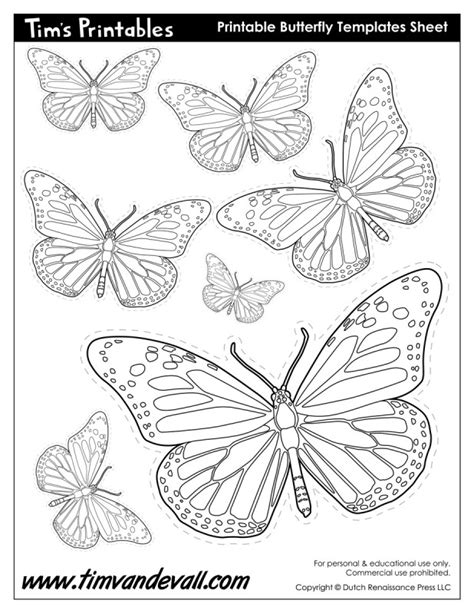 butterfly printables tims printables