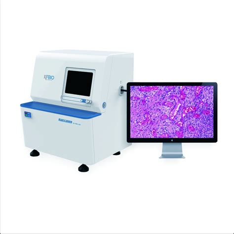 digital pathology  scanner   module  tissue china
