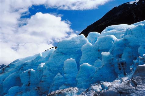 glaciers  guide  describing  alaskan ice princess lodges