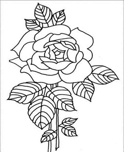 amazing red rose flower coloring page kids play color flower