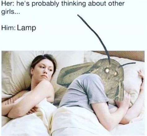 Other Girls Moth Lamp Know Your Meme