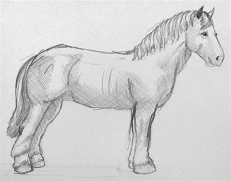 vorlagen zum zeichnen lernen grossartig ein pferd zeichnen lernen