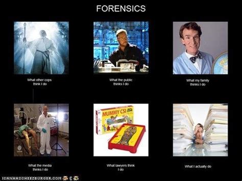 forensics meme
