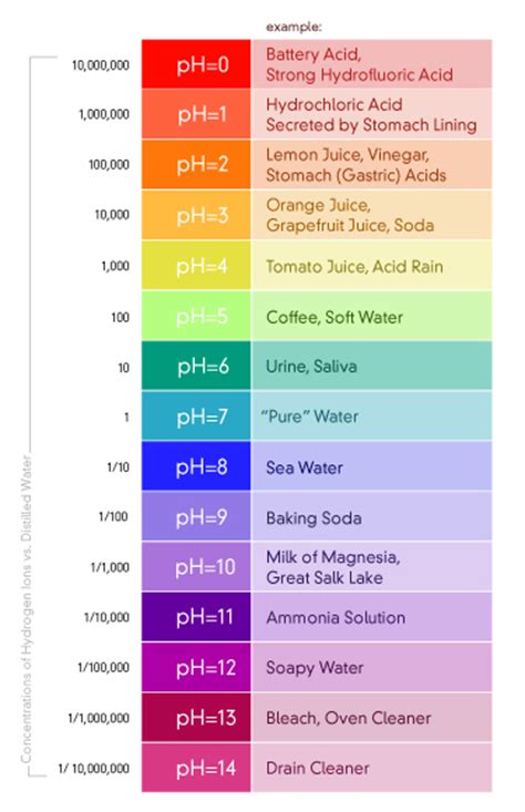 Mdhssch3u Bases And The Ph Scale