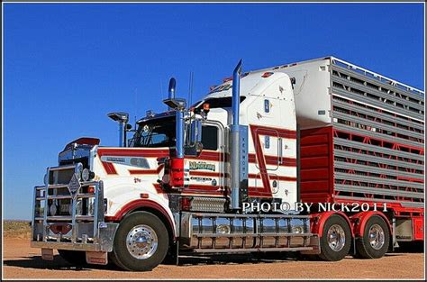 aussie  cattle hauler big trucks kenworth trucks  trucks