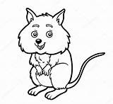 Quokka Coloring Book Stock Illustration Depositphotos sketch template