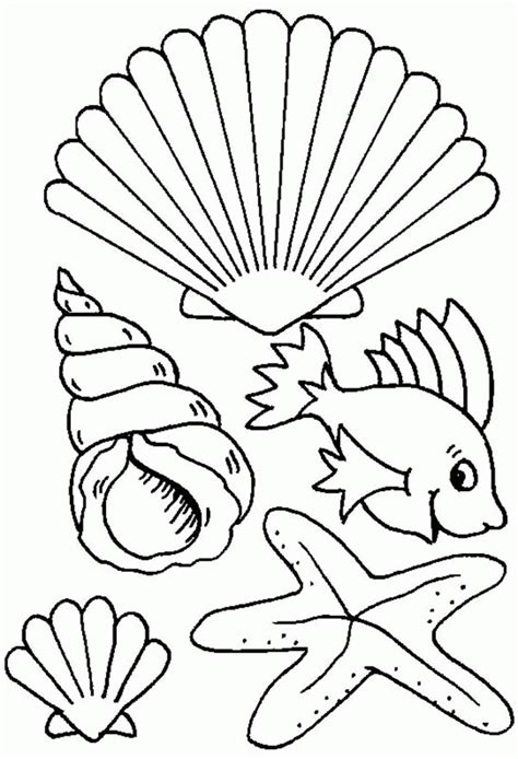 coloring pages  seashells   coloring pages