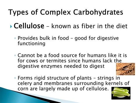 ppt chapter 9 the complex carbohydrates powerpoint presentation