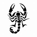 Scorpion Vecteezy sketch template