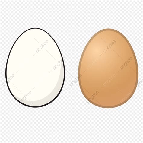 gambar telur ayam  gambar ayam telur  bagus gambar pixabay