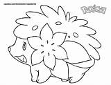 Pokemon Coloring Pages Zorua Color Cartoons Balls Getcolorings  Name Getdrawings Drawings sketch template