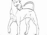 Coloring Great Dane Getcolorings Pages sketch template
