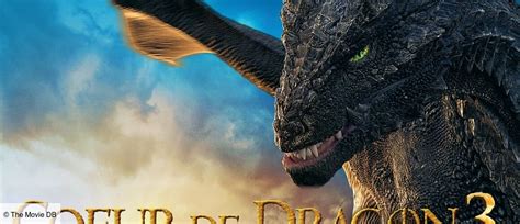 Coeur De Dragon 3 La Malédiction Du Sorcier En Streaming Avec Télé
