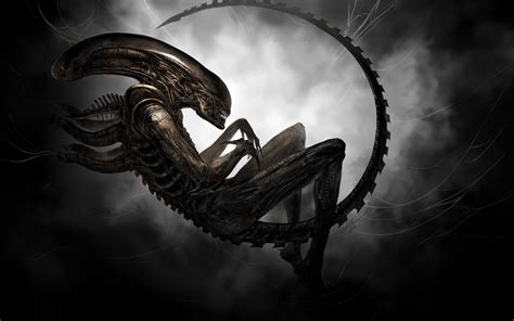 resolution alien illustration aliens xenomorph artwork digital art hd wallpaper